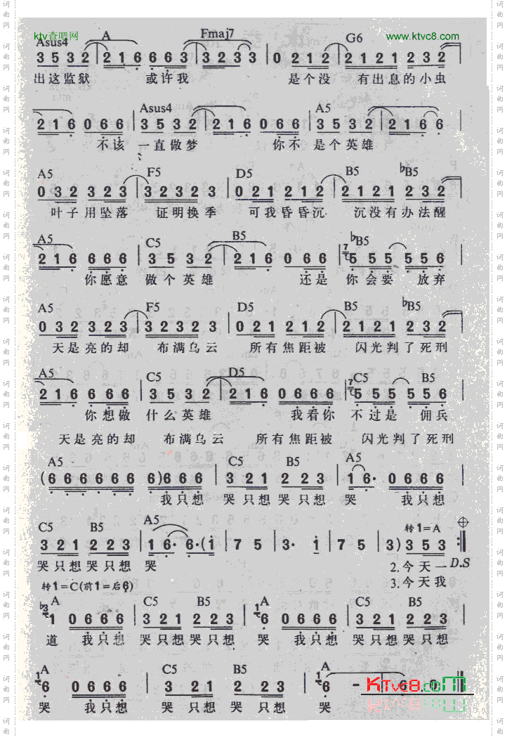 黑色柳丁