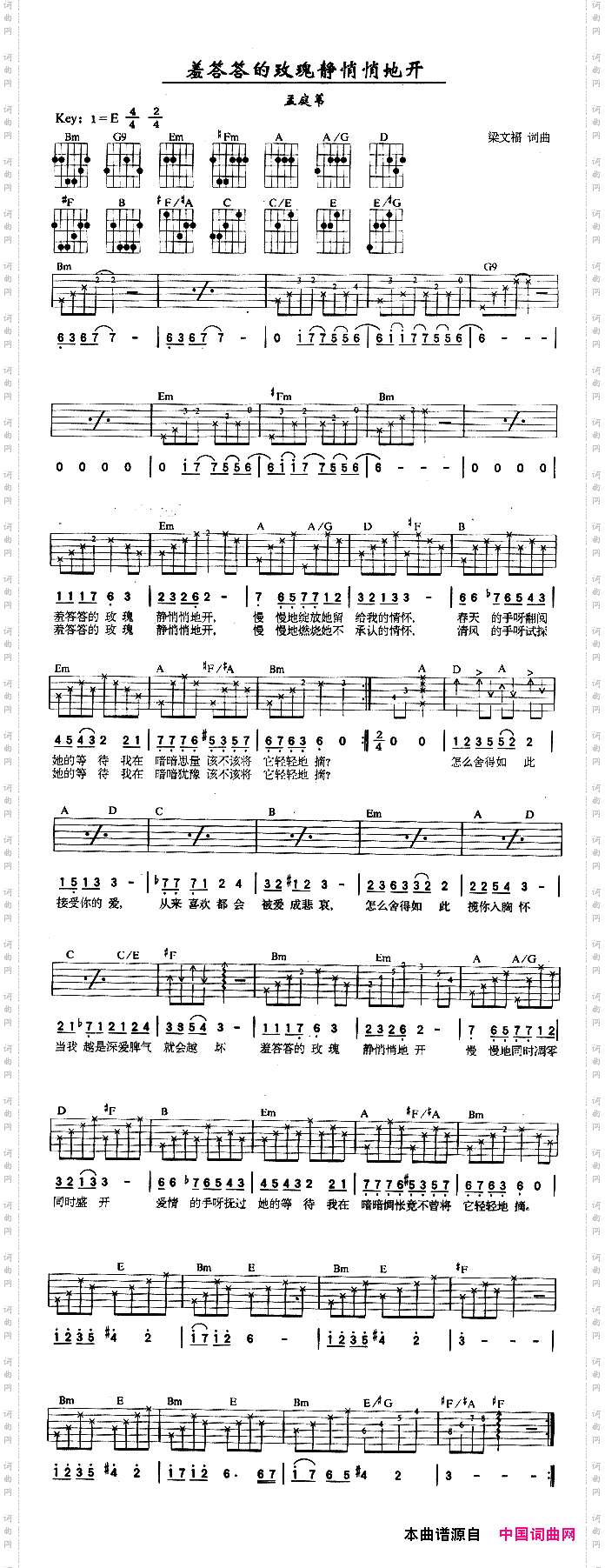 羞答答的玫瑰静悄悄地开