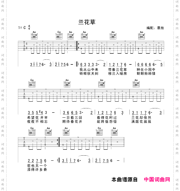 兰花草