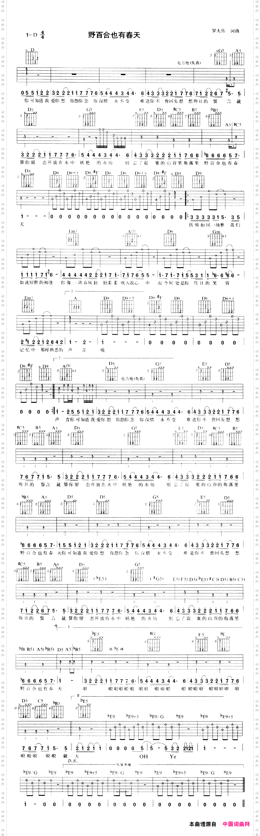 野百合也有春天_零点乐队演唱版