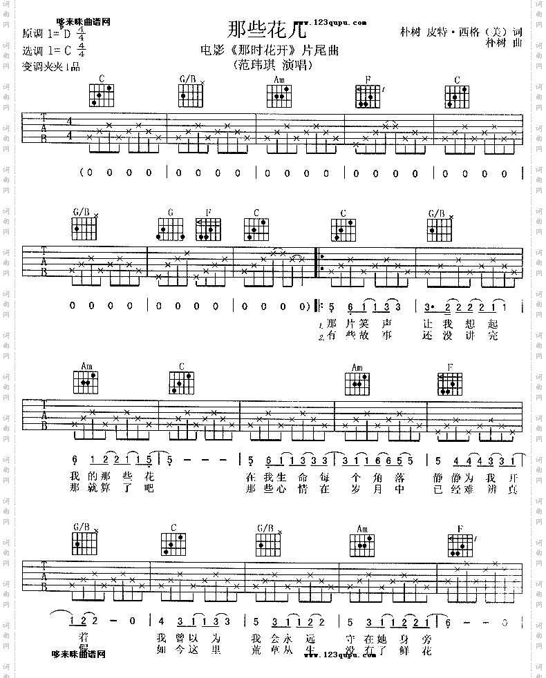 那些花儿范玮琪