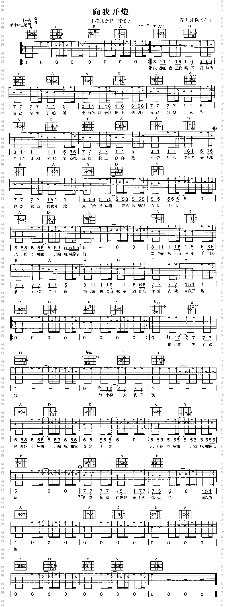 向我开炮花儿乐队