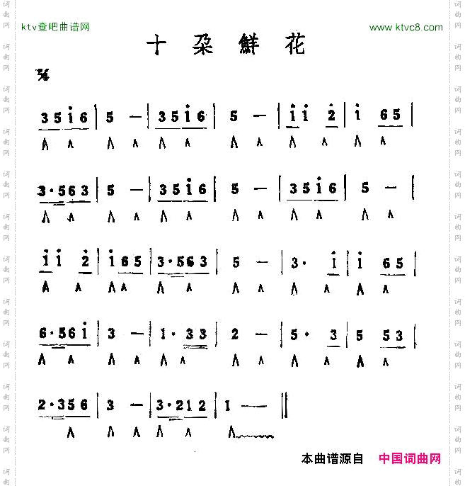 十朵鲜花