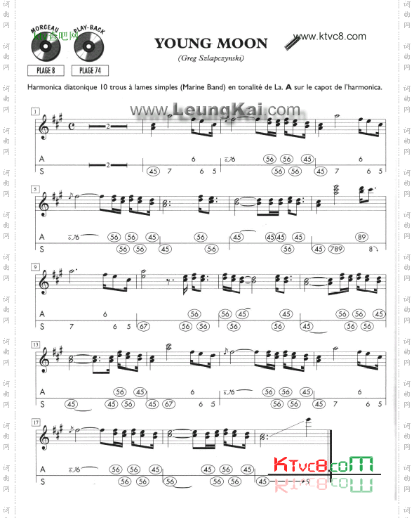 youngmoon口琴谱