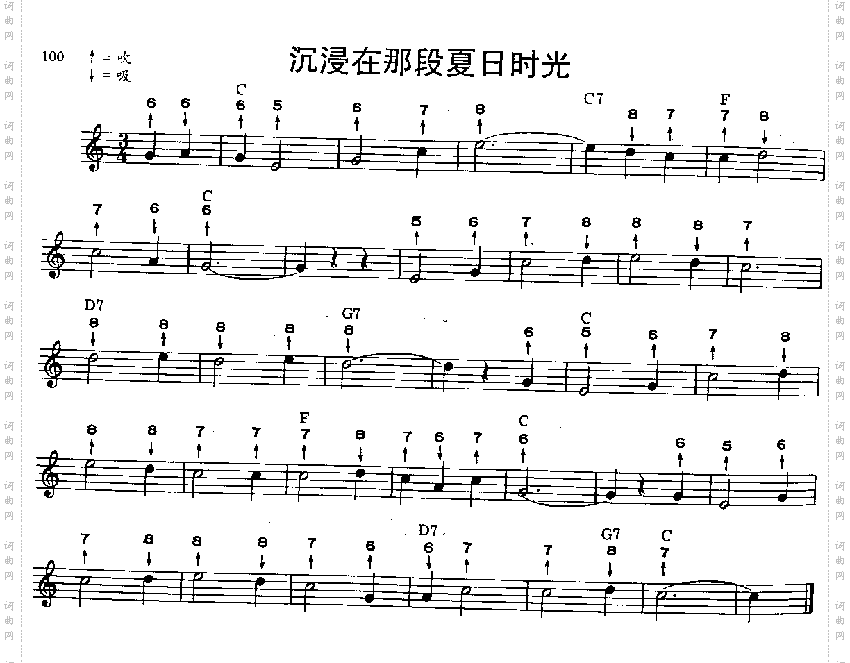 沉浸在那夏日时光口琴谱