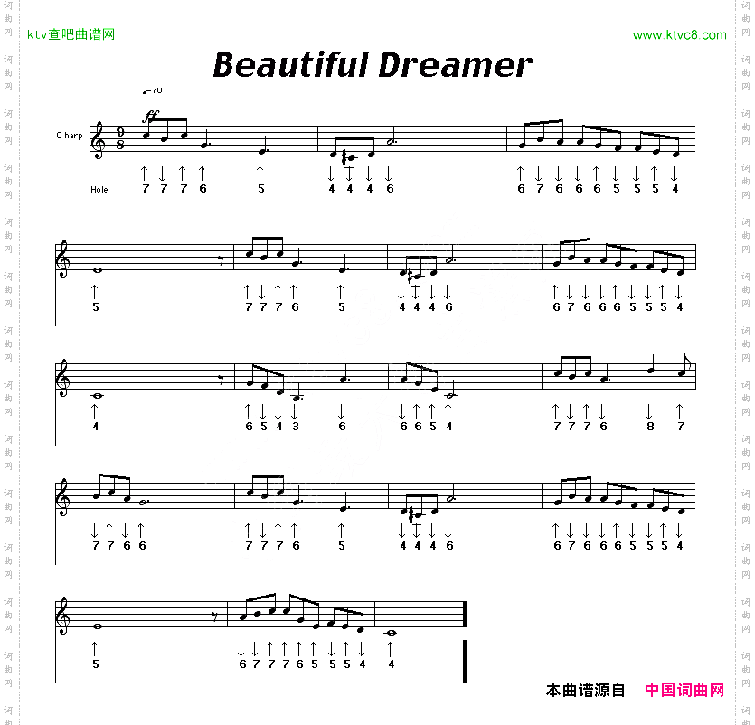 Beautifulreamer布鲁斯