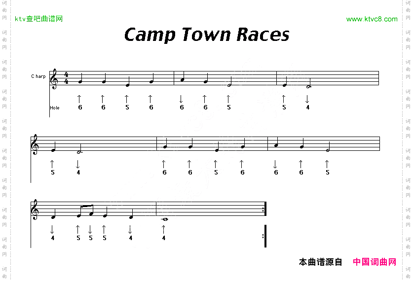CampTownRaces布鲁斯