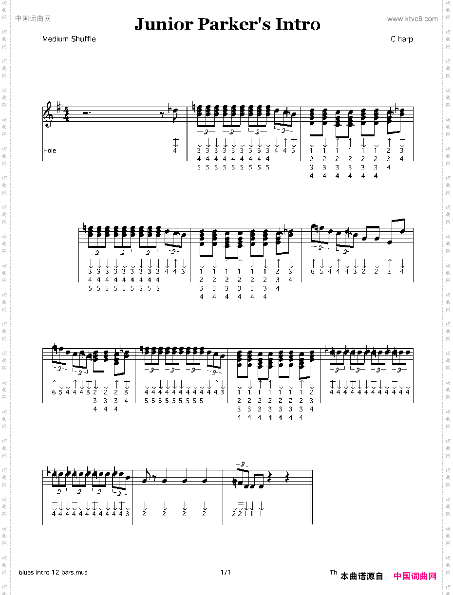 JuniorParker‘sIntro布鲁斯