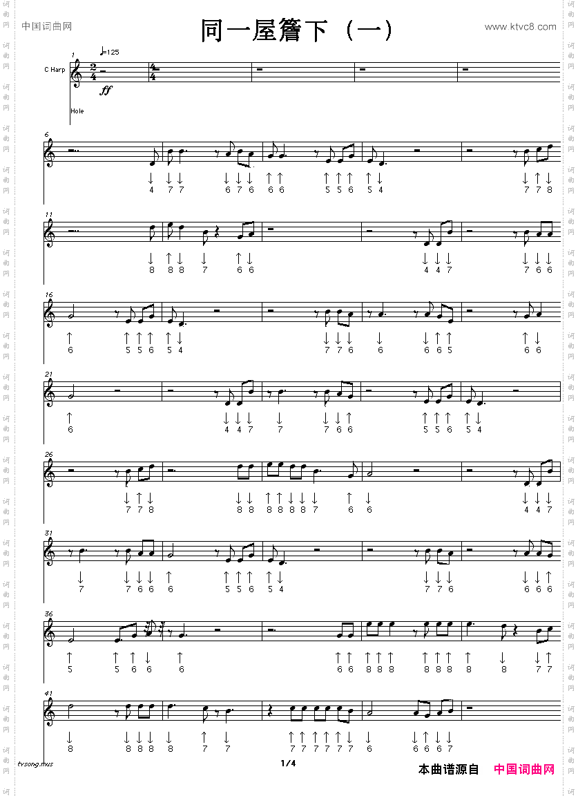 同一屋檐下一布鲁斯