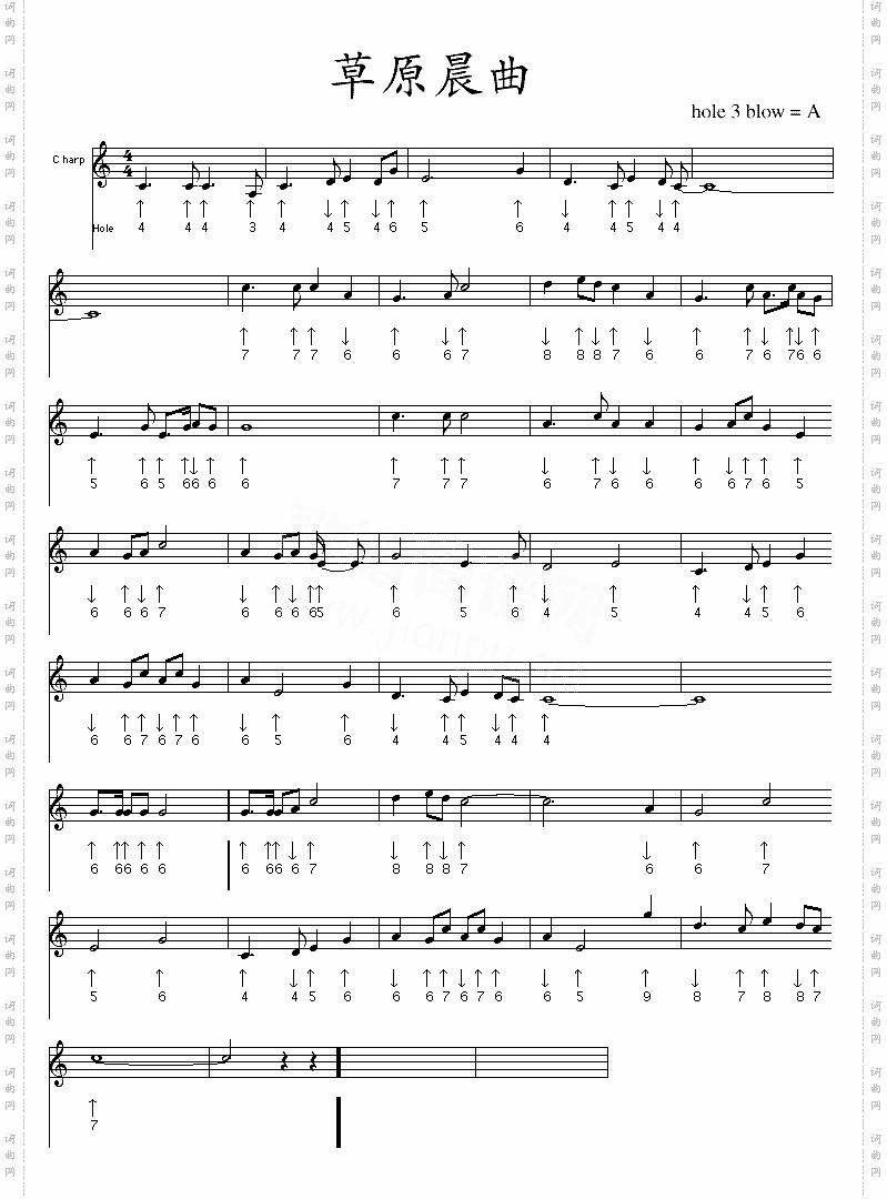 morningscenses口琴谱