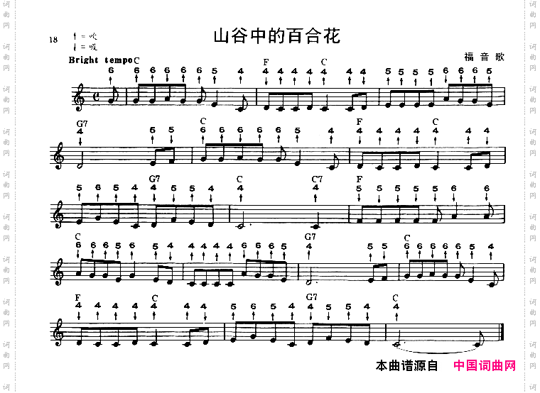 山谷中的百合花布鲁斯