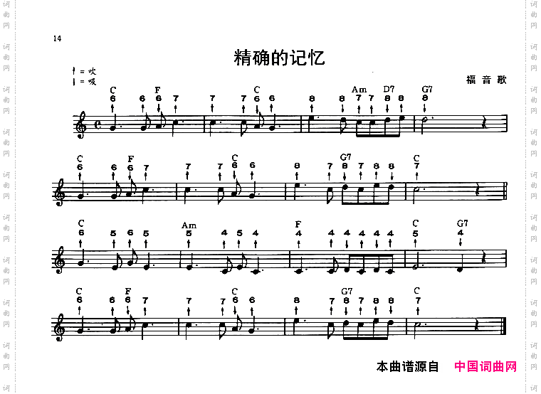 精确的记忆布鲁斯