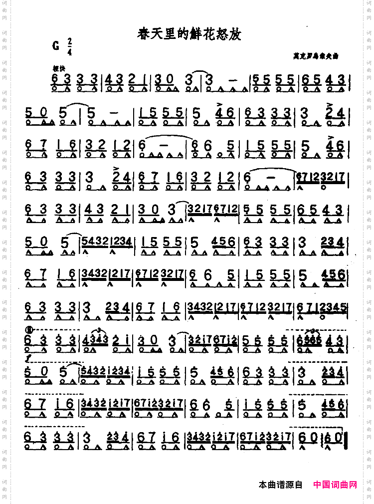 春天里的鲜花怒放
