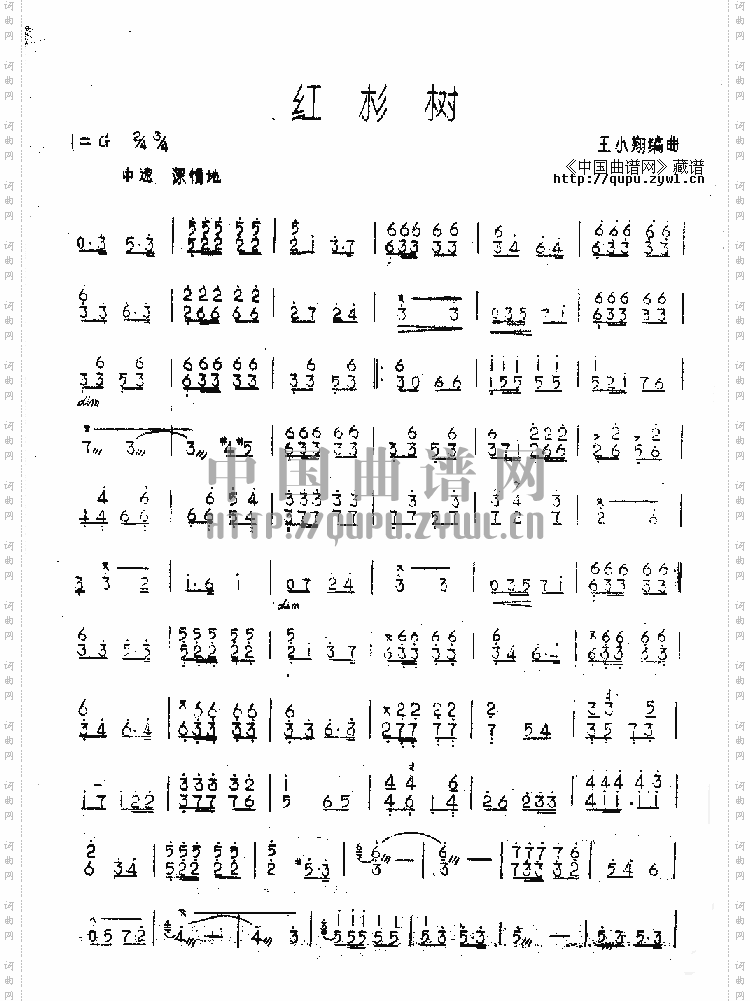 红杉树扬琴曲谱