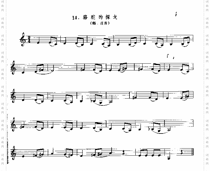 骆驼的探戈单簧管演奏曲