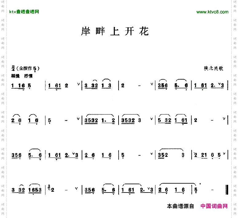岸畔上开花