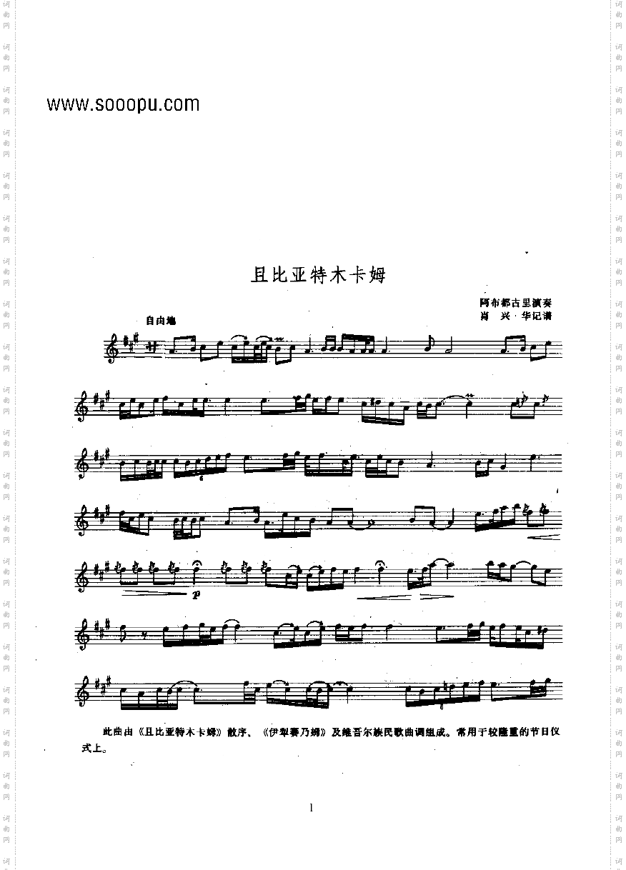 且比亚特木卡姆—苏纳依民乐类其他乐器