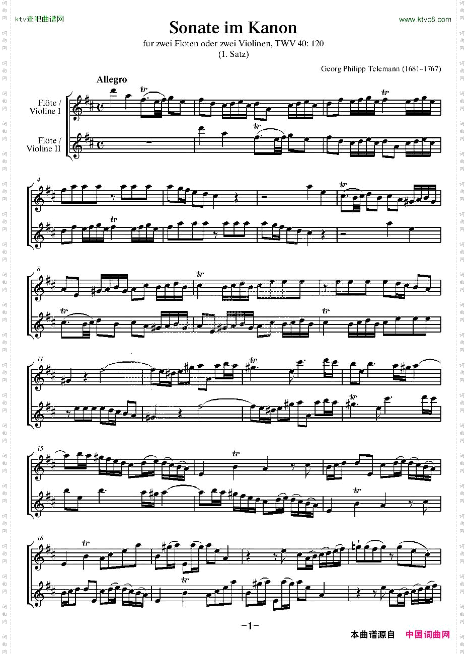 卡农奏鸣曲二重奏