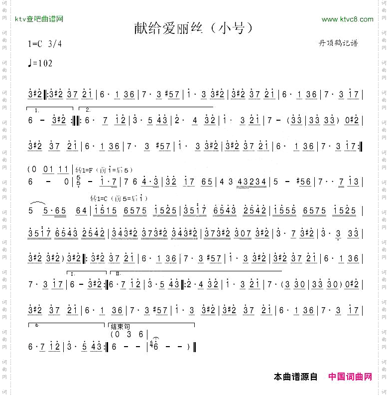 献给爱丽丝小号