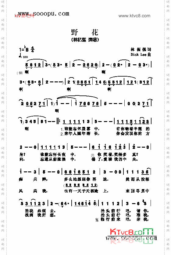 野花歌曲类简谱
