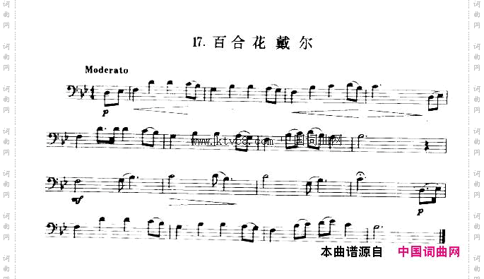 百合花戴尔长号