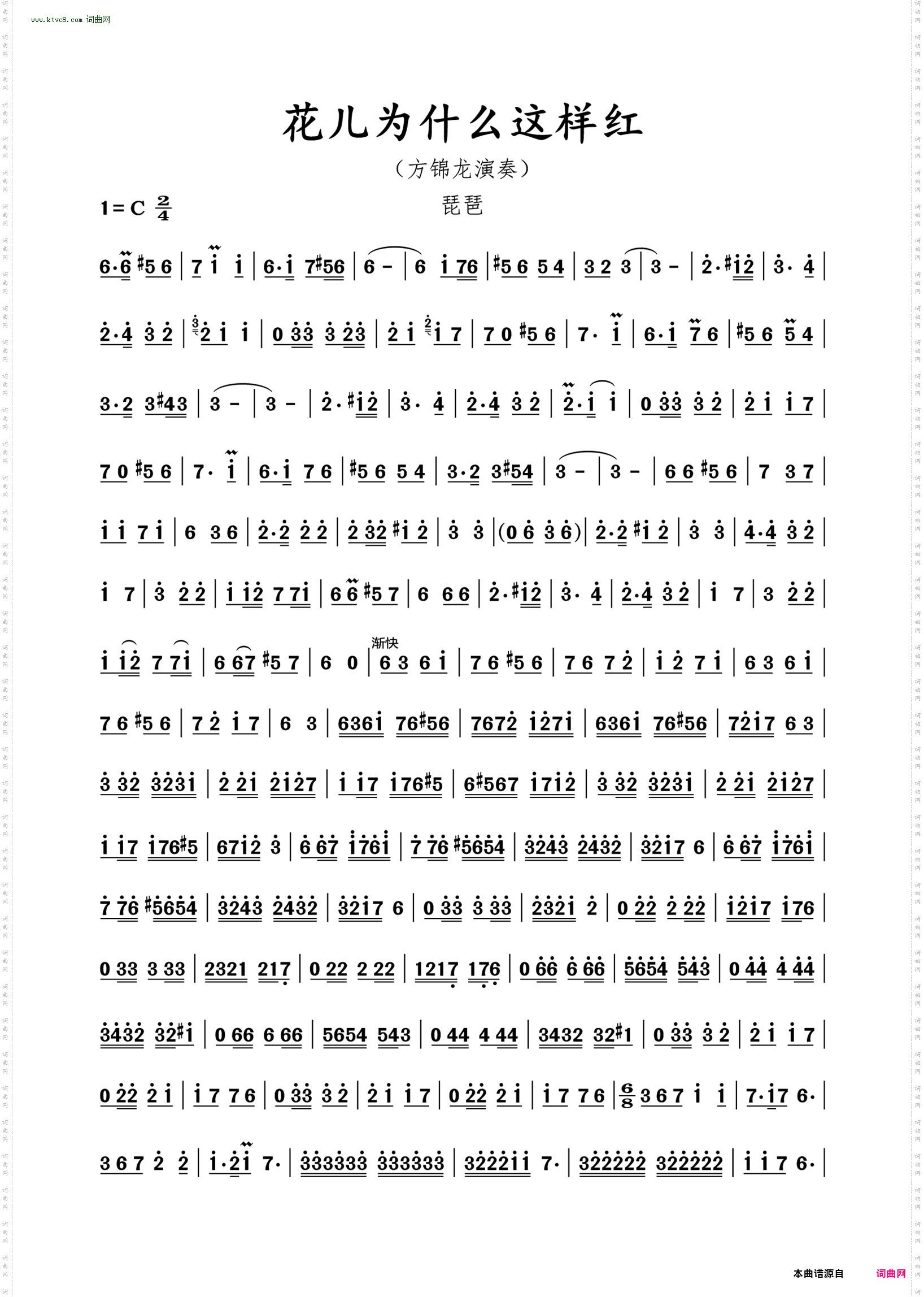 花儿为什么这样红_琵琶演奏