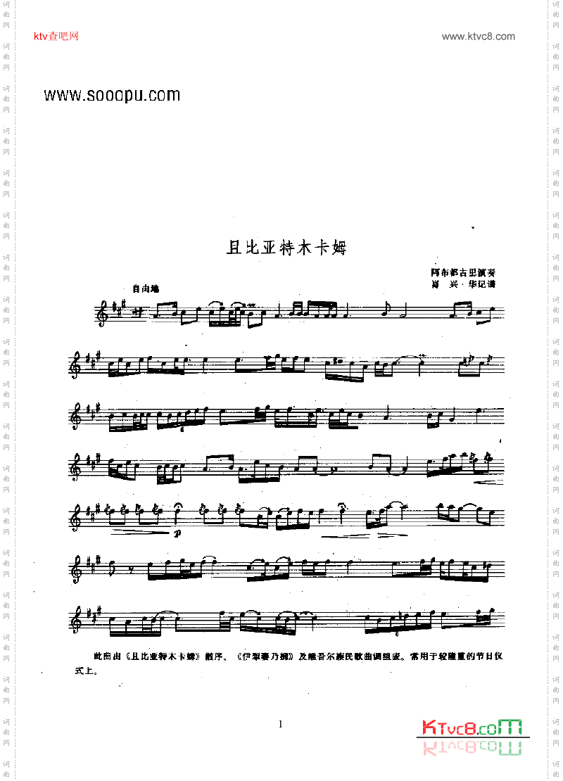 且比亚特木卡姆—苏纳依民乐类其他乐器