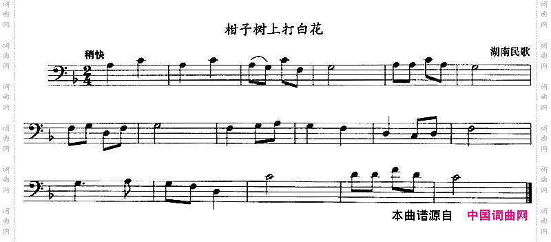 柑子树上打白花长号