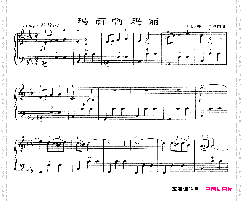 玛丽啊玛丽