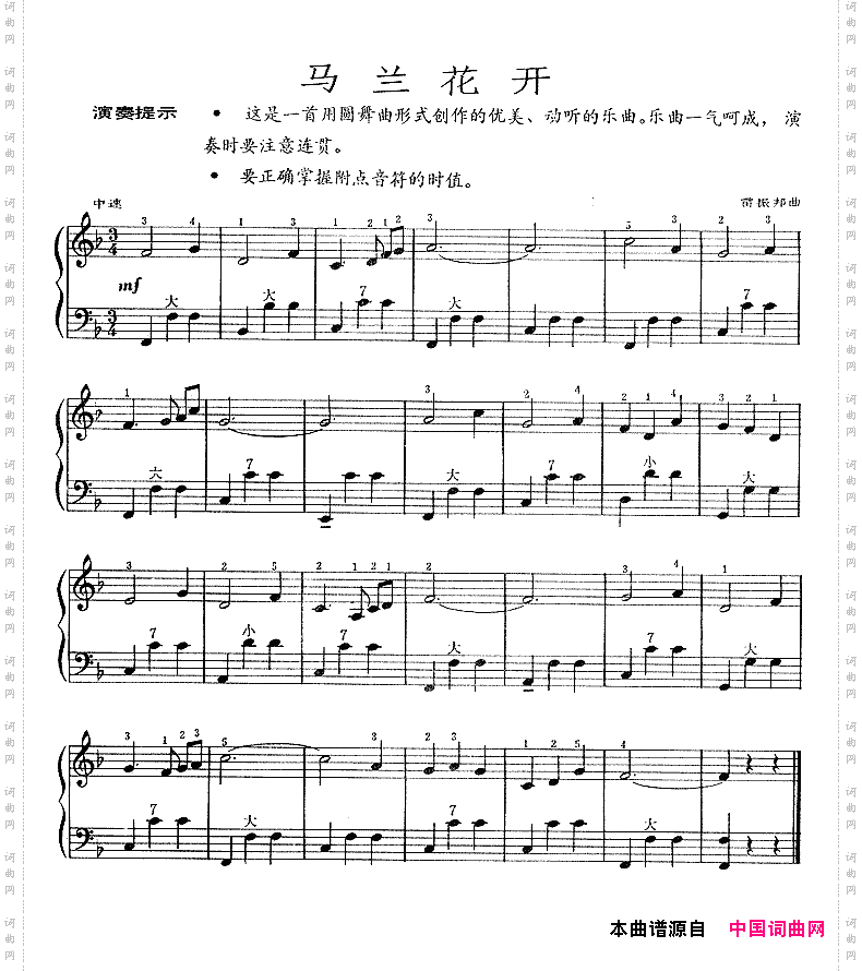 马兰花开