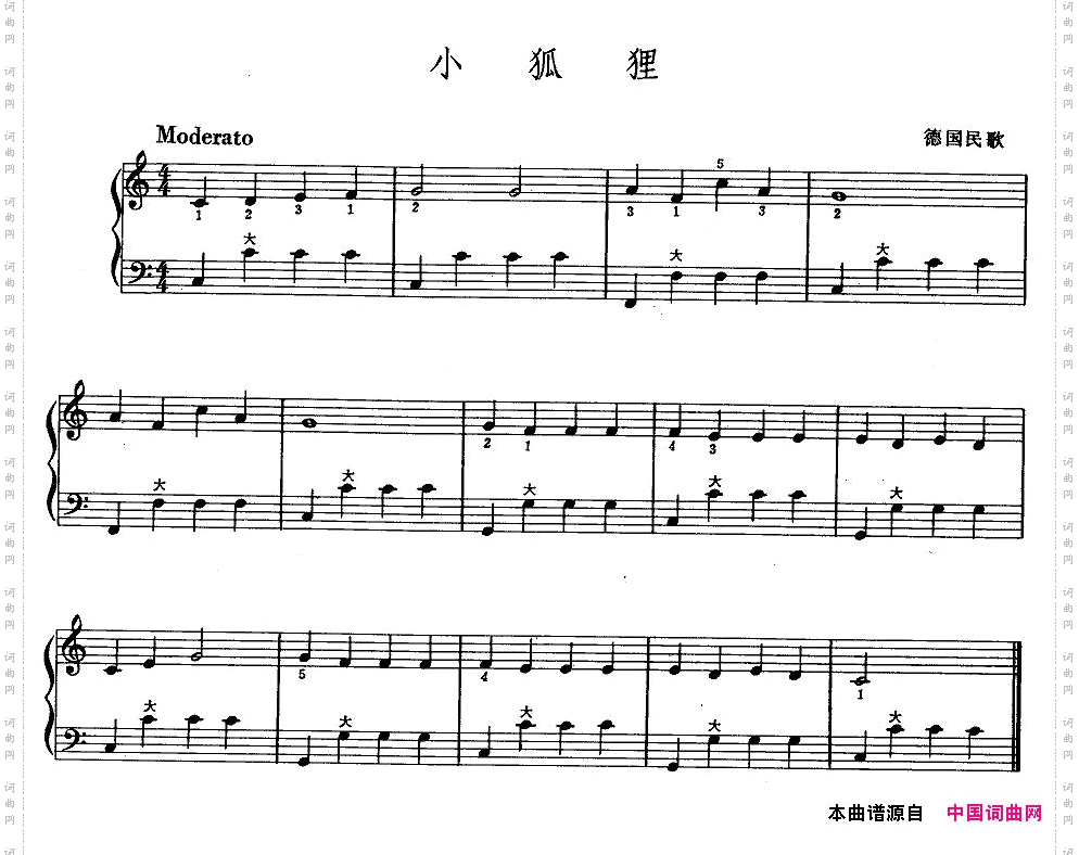 小狐狸