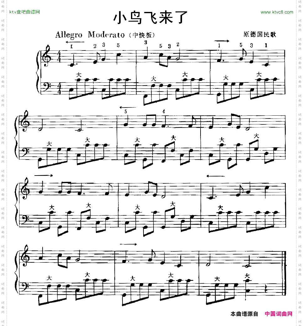 小鸟飞来了