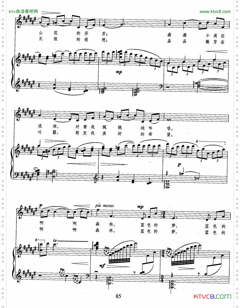 森林，蓝色的梦正谱