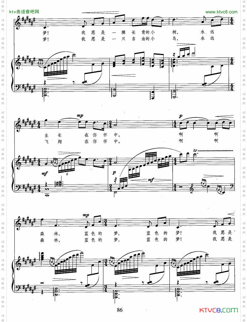 森林，蓝色的梦正谱