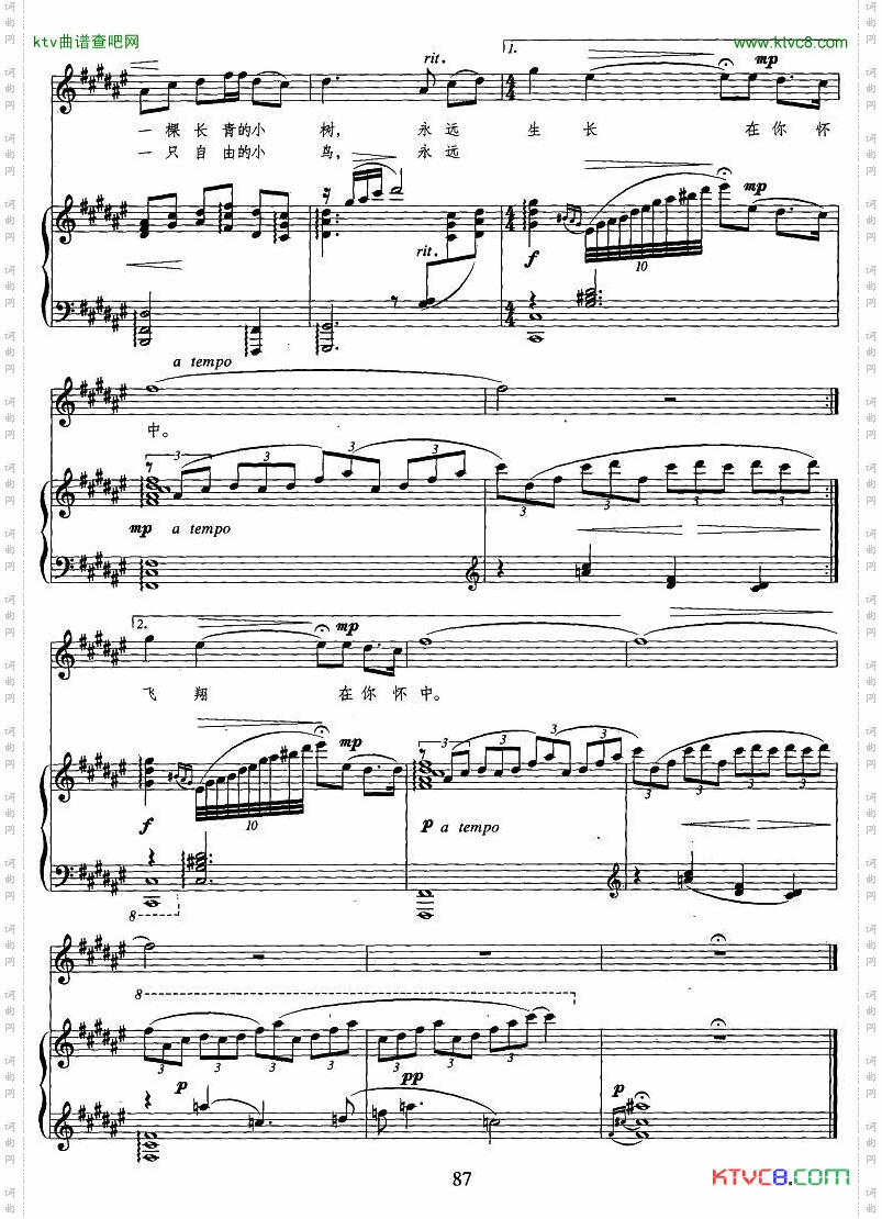 森林，蓝色的梦正谱