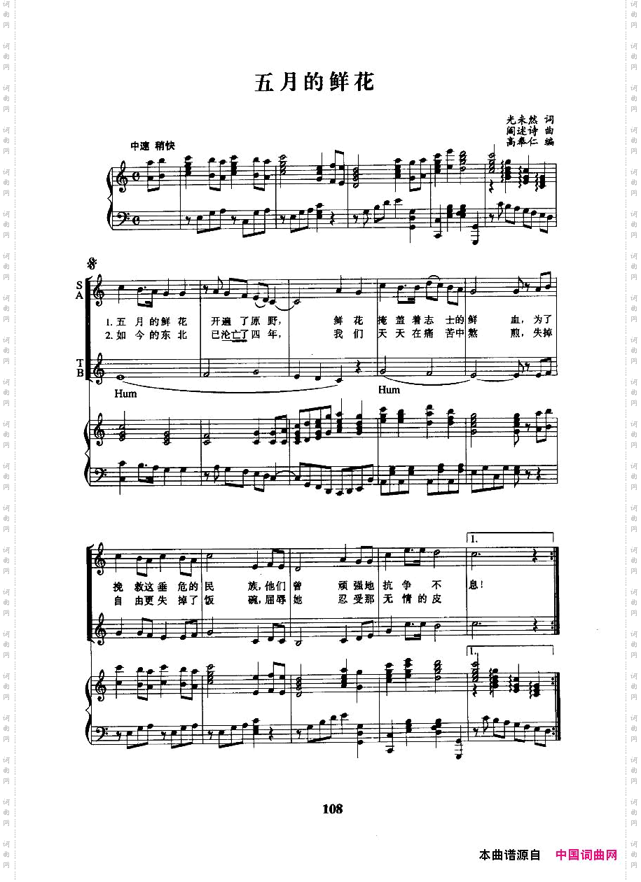 五月的鲜花正谱