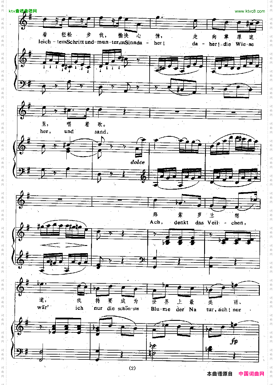 紫罗兰正谱[奥]