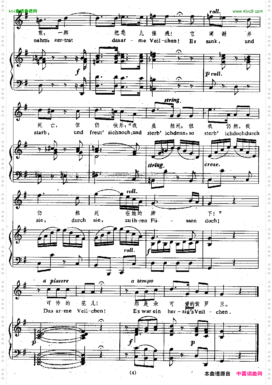 紫罗兰正谱[奥]