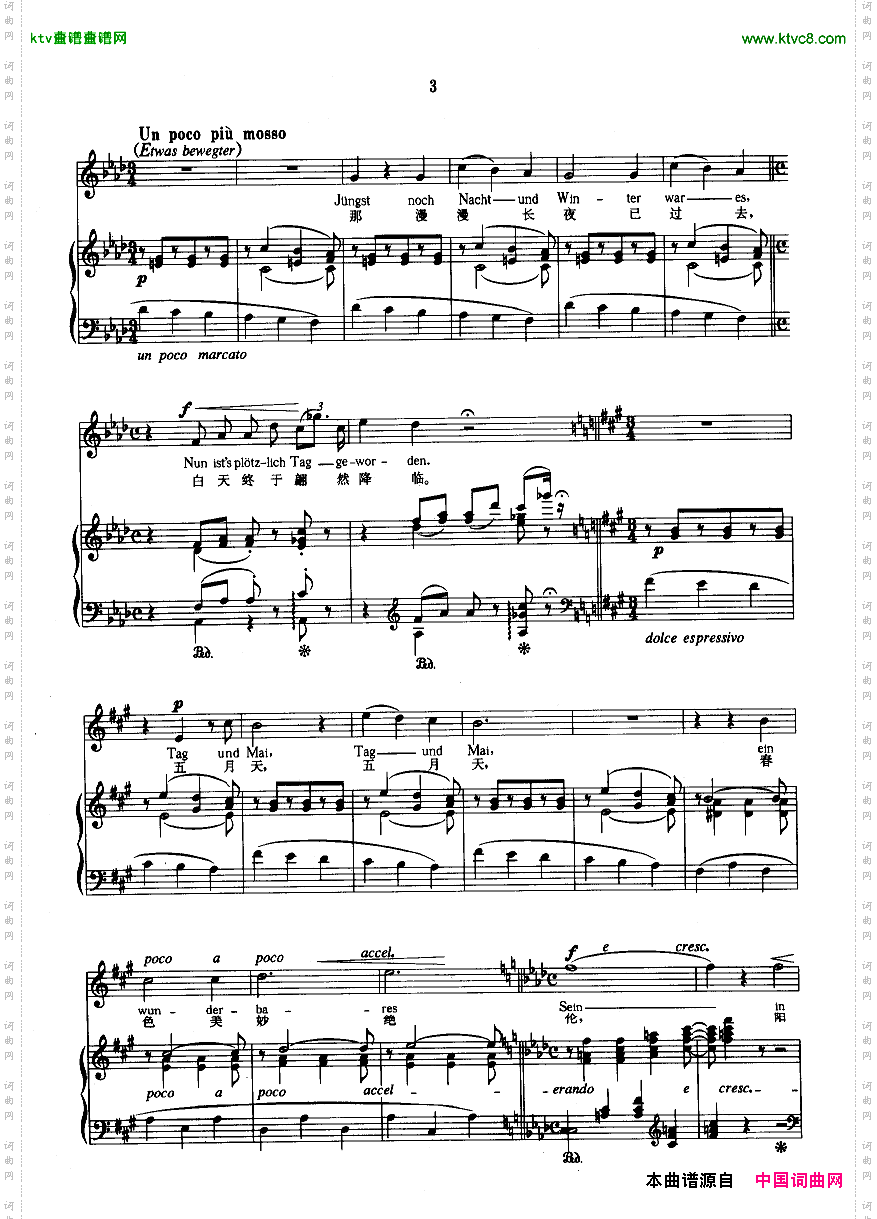 蓝眼睛像秋水盈盈正谱