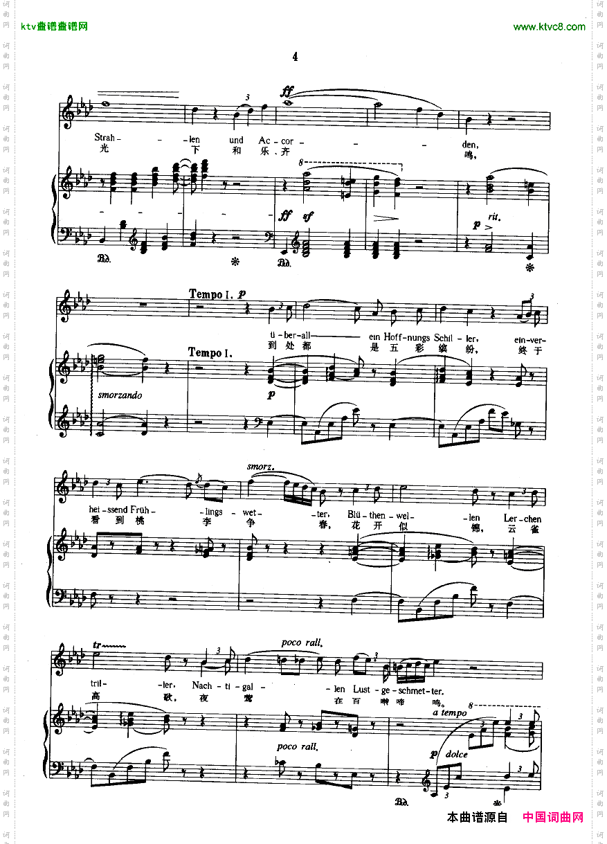 蓝眼睛像秋水盈盈正谱