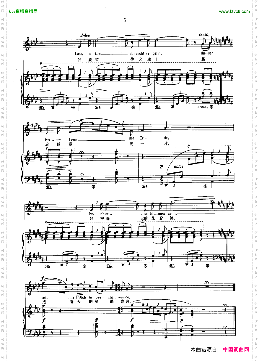 蓝眼睛像秋水盈盈正谱