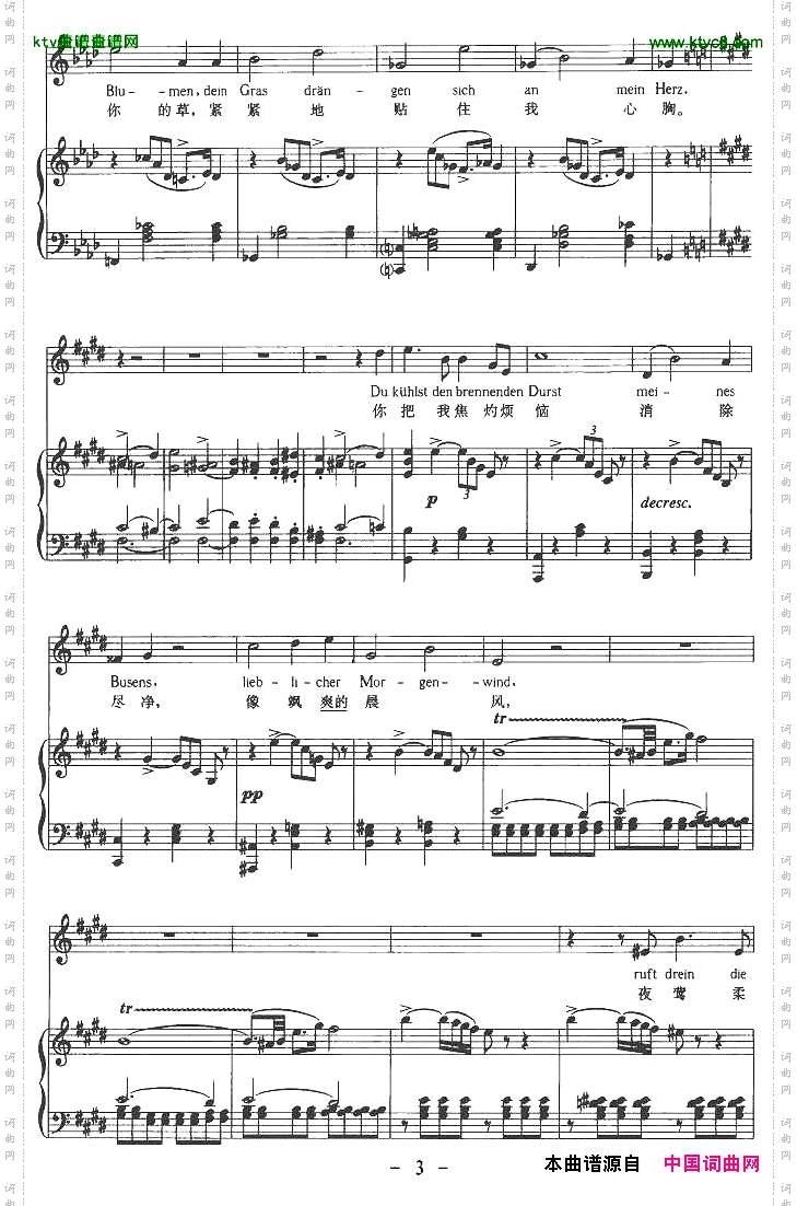 佳尼美德中外文对照版、正谱[奥]