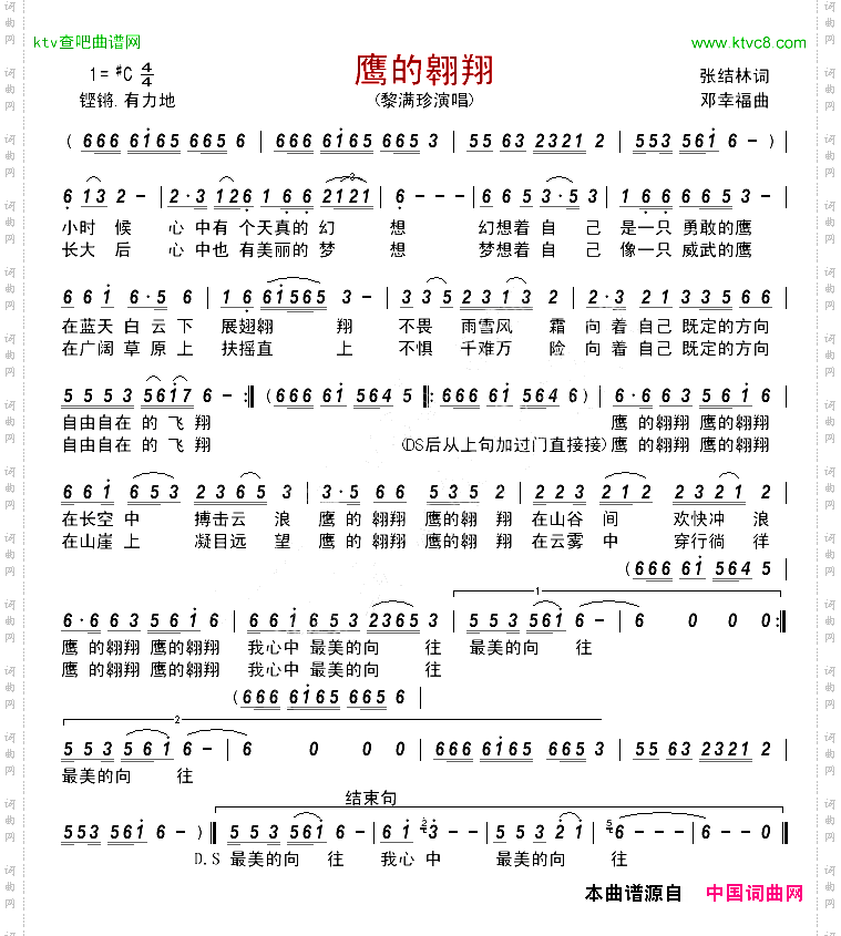 鹰的翱翔
