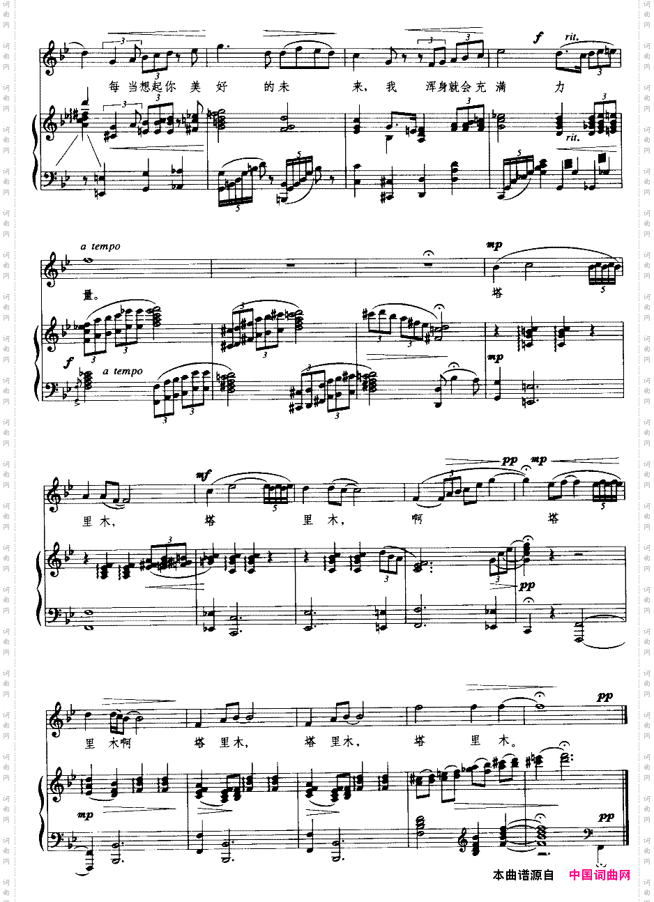 塔里木之恋线谱