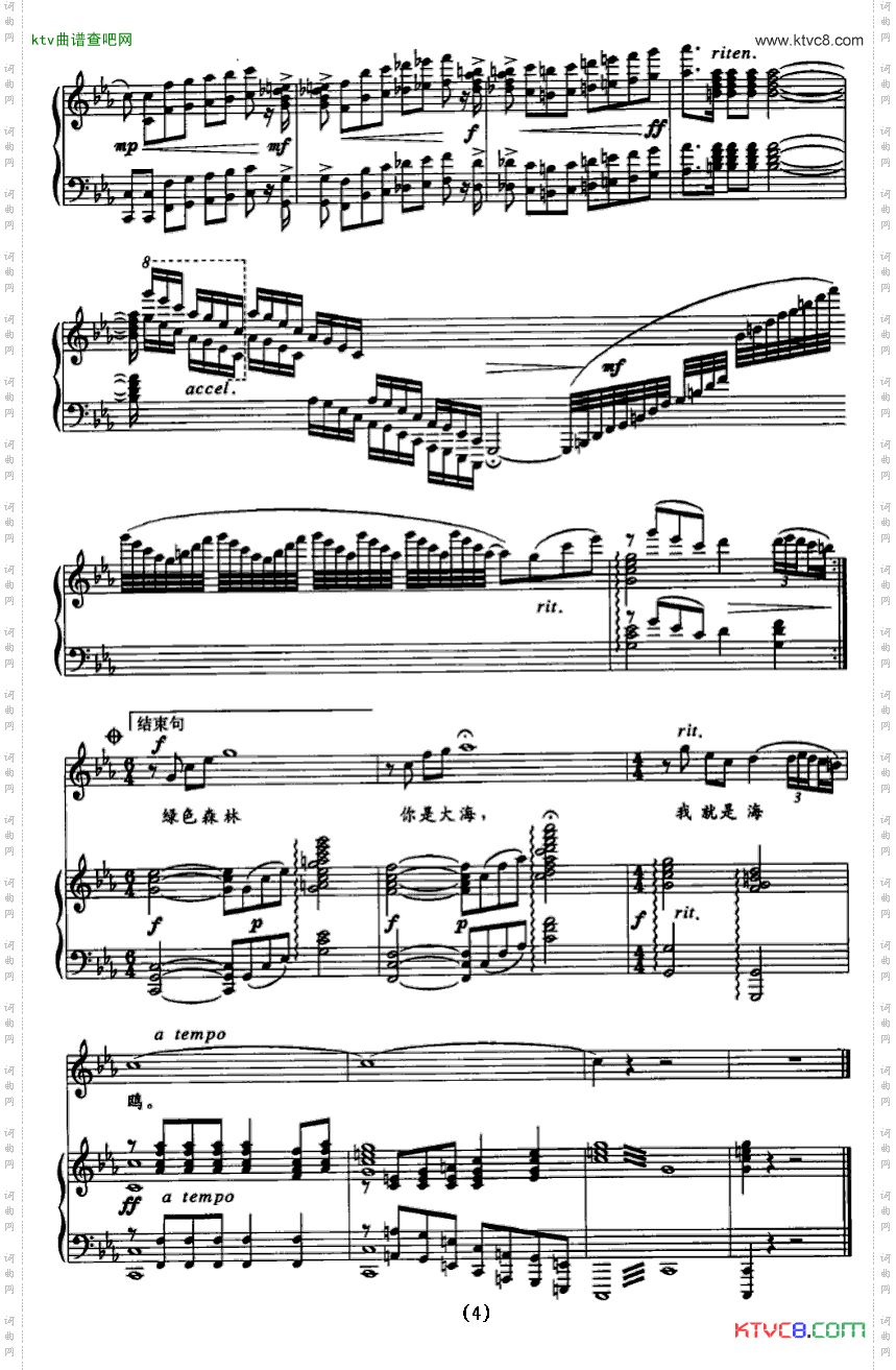 森林大海啊,我是海鸥正谱