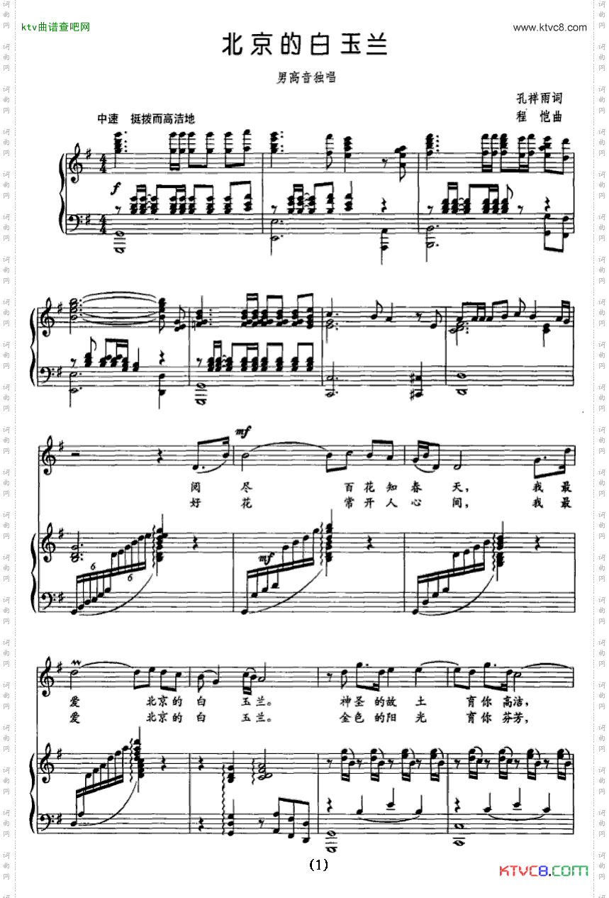 北京的白玉兰正谱