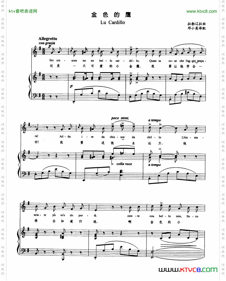 金色的鹰（正谱）简谱