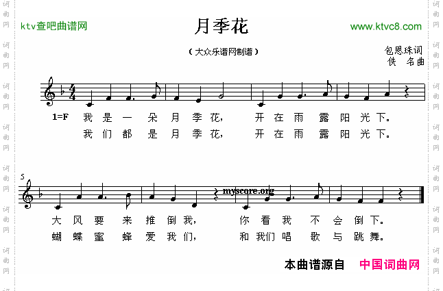 月季花
