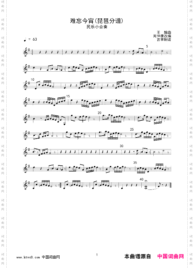 难忘今宵琵琶分谱线谱