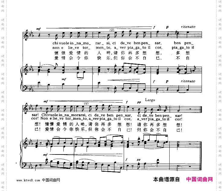 憧憬爱情的人哟